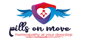 Software development company