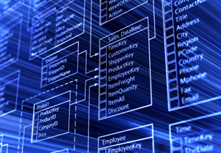 Oracle Services Provider Companies