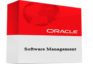 Oracle Services Provider Companies
