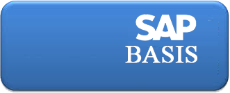 sap ERP Services Provider Companies