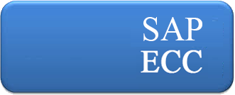 sap ERP Services Provider Companies