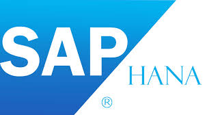 sap ERP Services Provider Companies