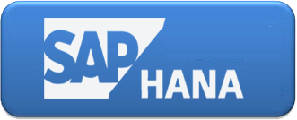 sap ERP Services Provider Companies