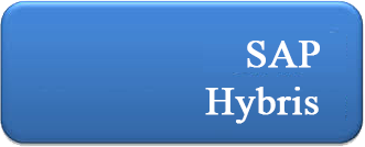 sap ERP Services Provider Companies