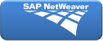 sap ERP Services Provider Companies
