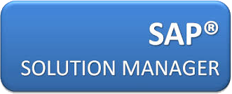 sap ERP Services Provider Companies